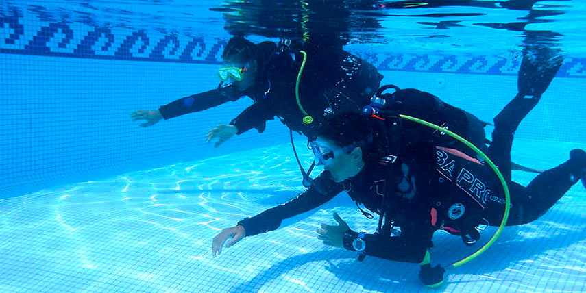 Plongee La Madrague, Ngor